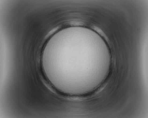 X0000084020533200703091950