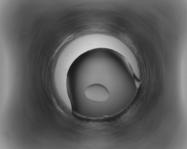 X0000084020534200703091950