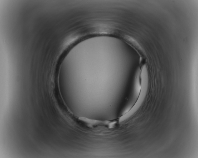 X0000084020536200703091950