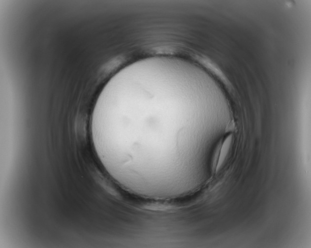 X0000084020537200703091950