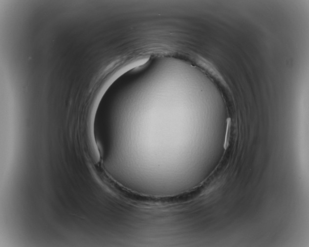 X0000084020538200703091950