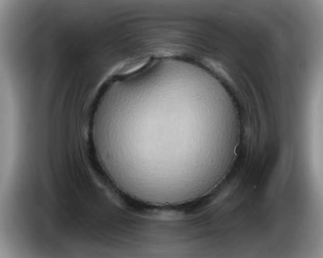 X0000084020539200703091950