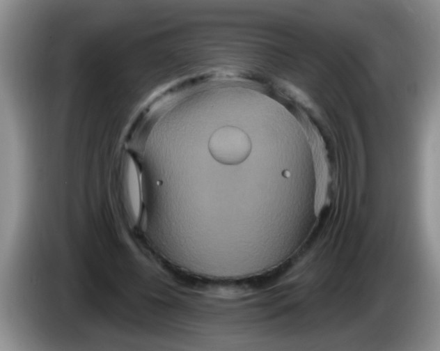 X0000084020540200703091950