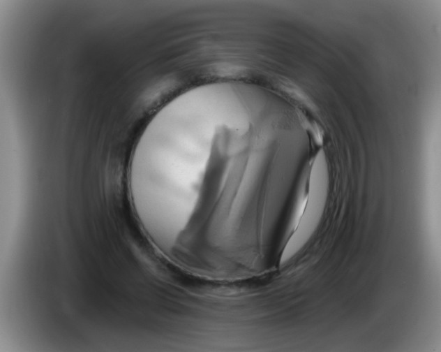 X0000084020542200703091950