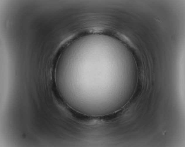 X0000084020543200703091950