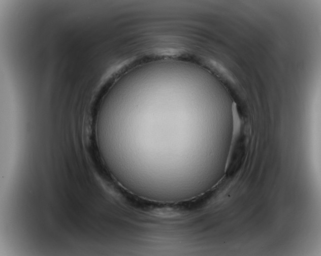 X0000084020544200703091950