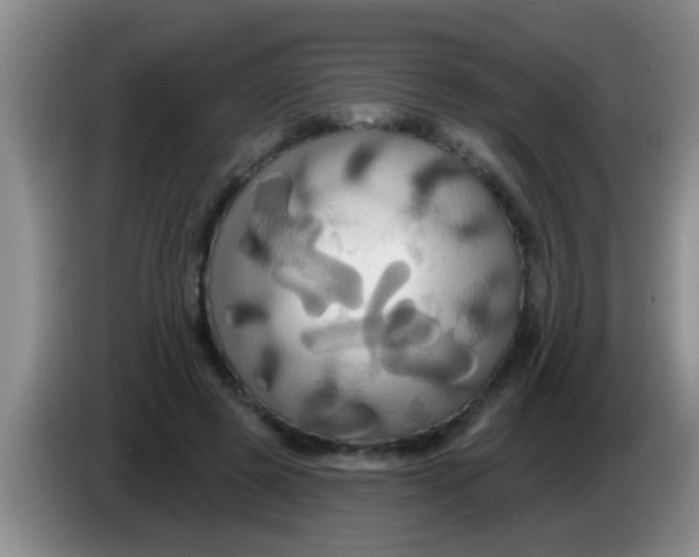 X0000084020545200703091950