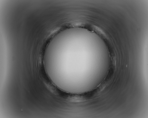 X0000084020546200703091950