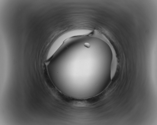 X0000084020548200703091950