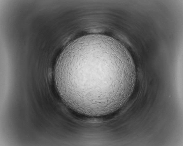 X0000084020549200703091950