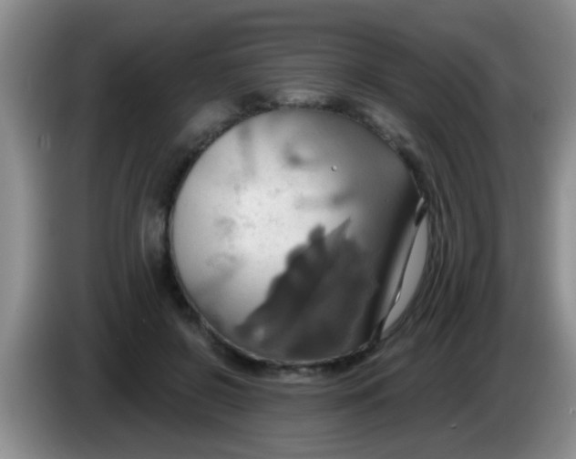 X0000084020550200703091950