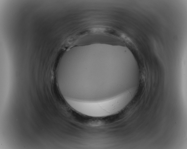 X0000084020551200703091950