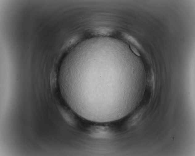 X0000084020552200703091950