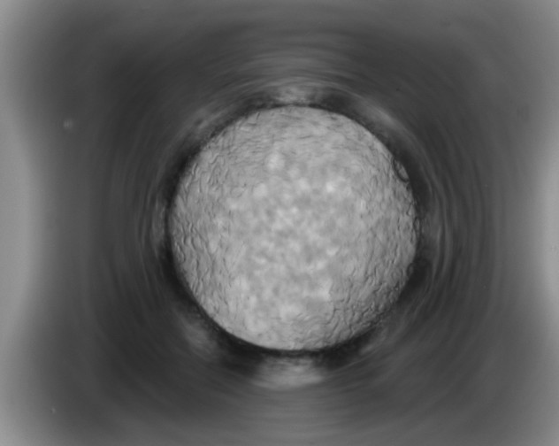 X0000084020554200703091950