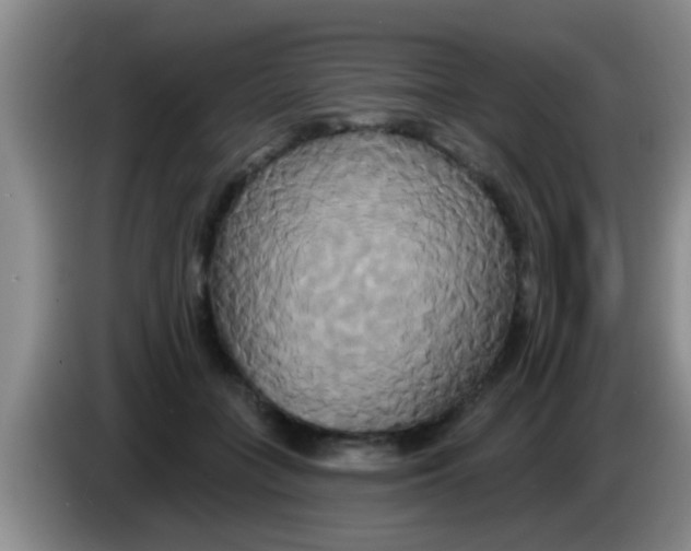 X0000084020555200703091950