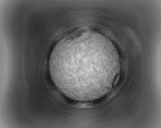 X0000084020557200703091950