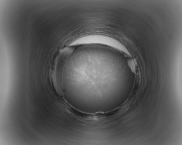 X0000084020558200703091950