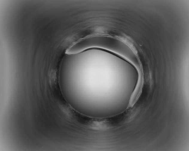 X0000084020560200703091950