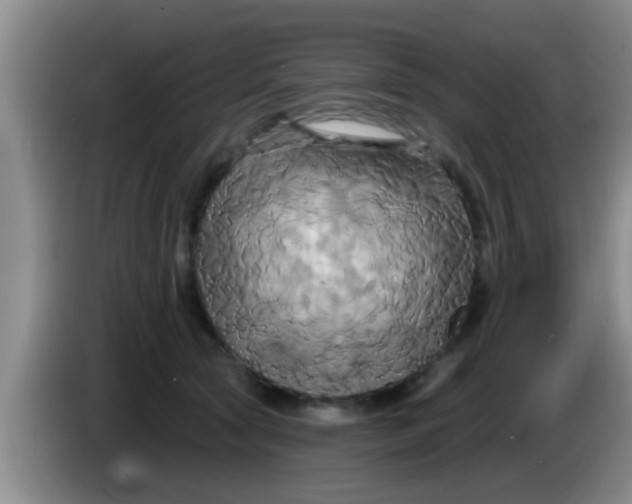 X0000084020561200703091950