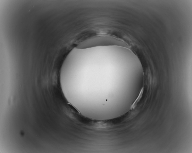 X0000084020562200703091950