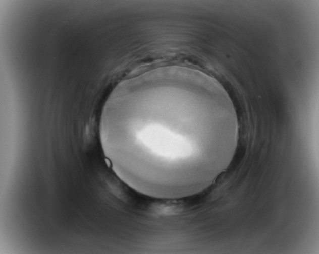 X0000084020563200703091950