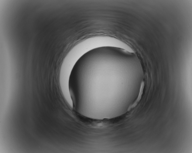 X0000084020564200703091950