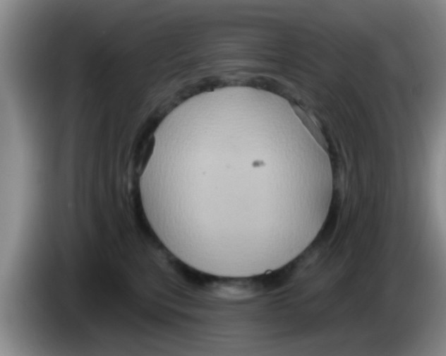 X0000084020567200703091950