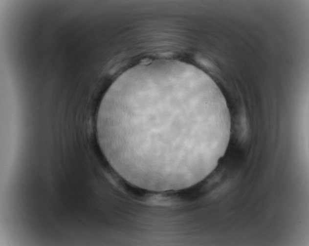 X0000084020568200703091950