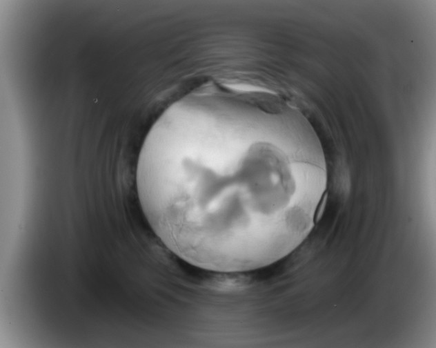 X0000084020569200703091950