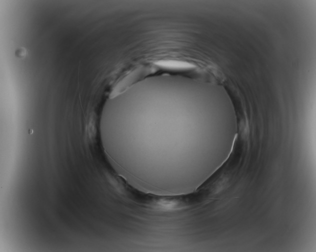 X0000084020570200703091950