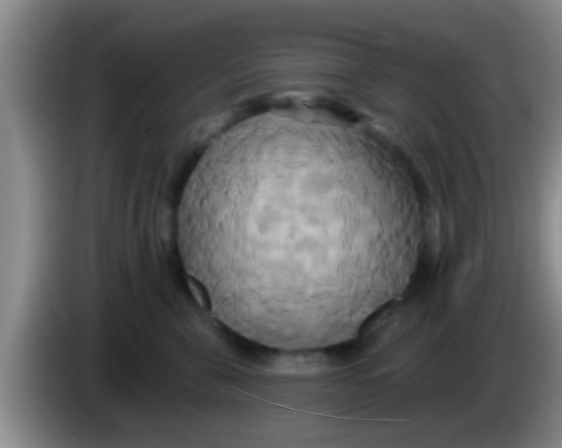 X0000084020571200703091950