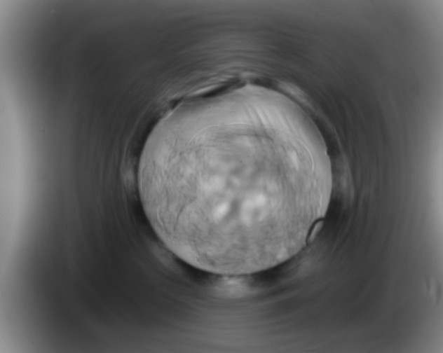 X0000084020573200703091950