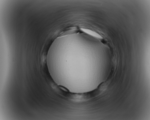 X0000084020574200703091950