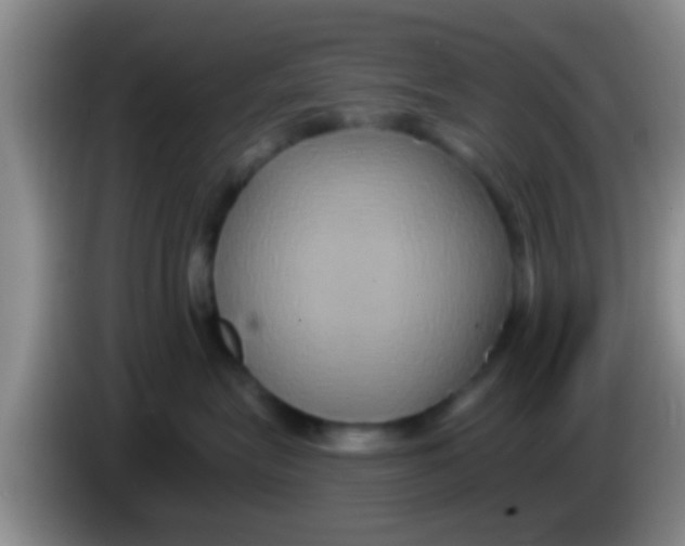 X0000084020575200703091950