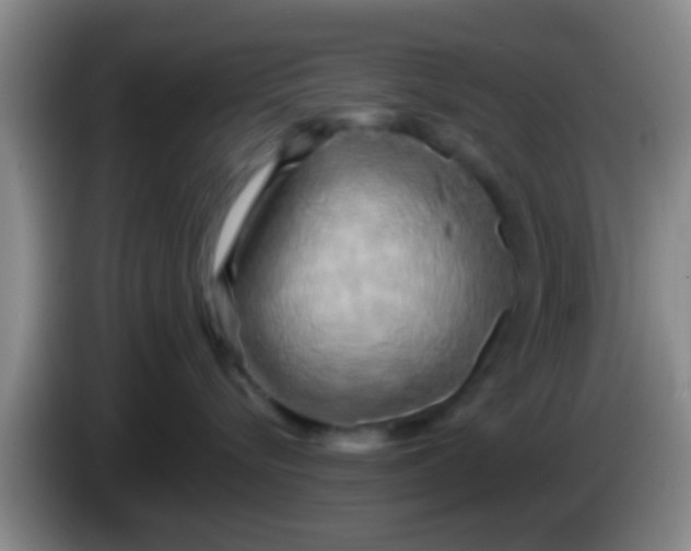 X0000084020576200703091950