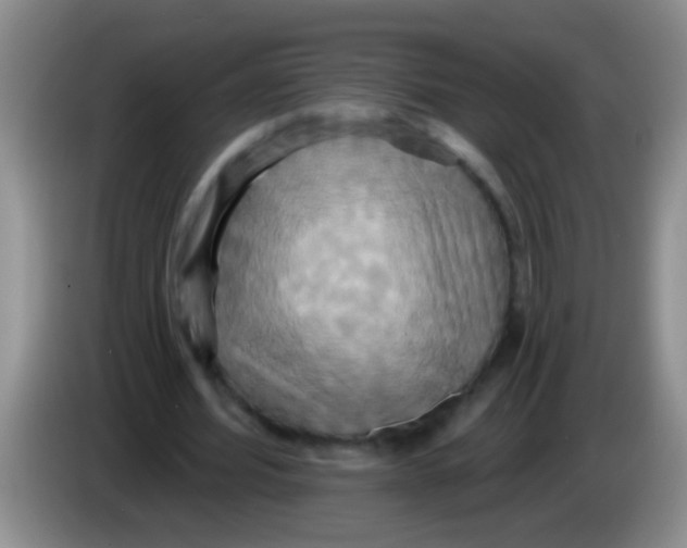 X0000084020580200703091950