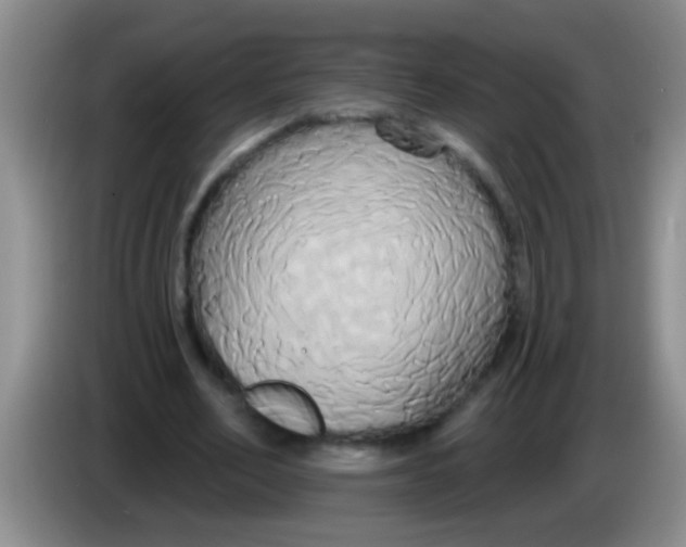 X0000084020582200703091950