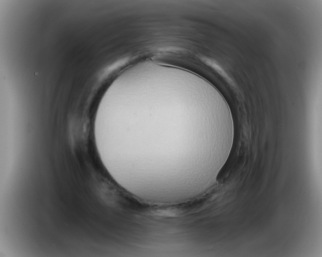 X0000084020583200703091950