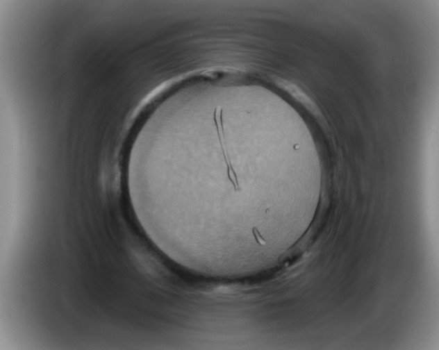 X0000084020584200703091950