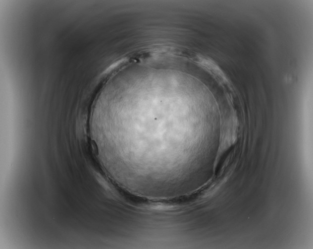 X0000084020585200703091950