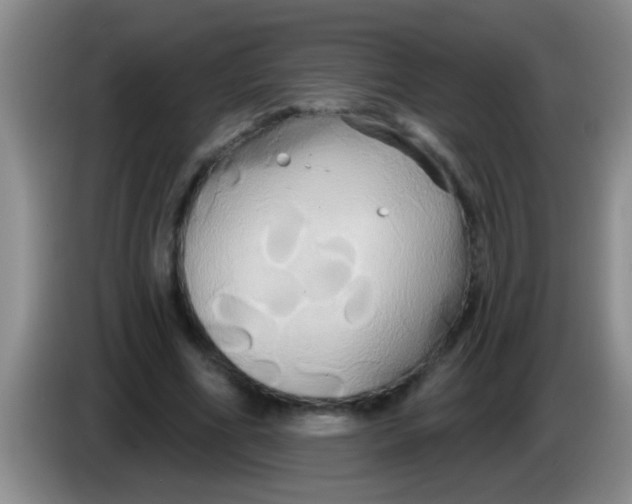 X0000084020586200703091950