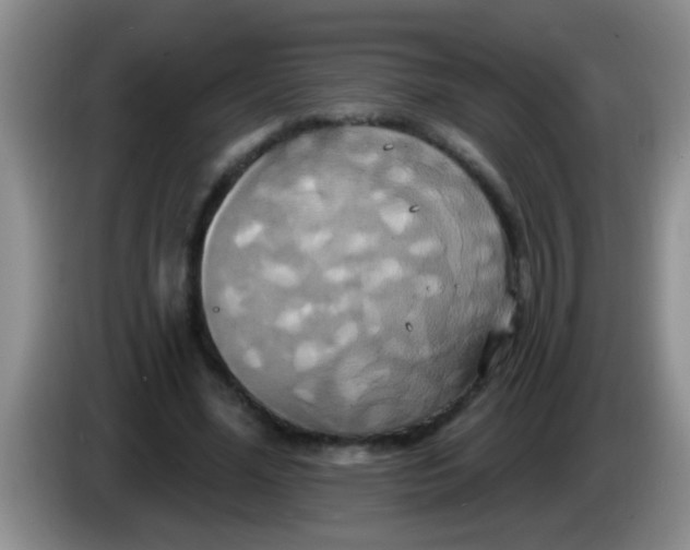 X0000084020588200703091950