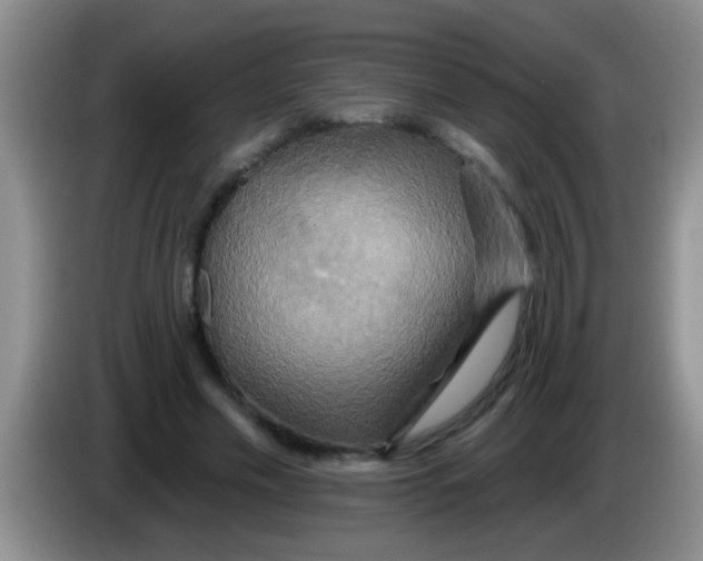 X0000084020589200703091950