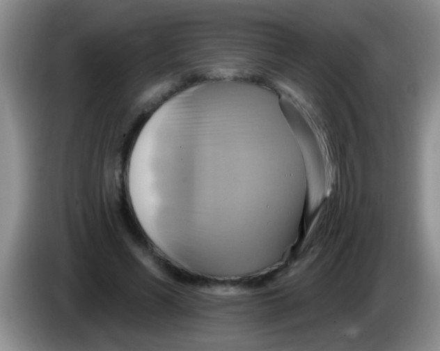 X0000084020590200703091950