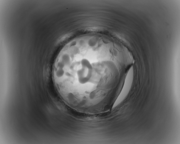 X0000084020591200703091950