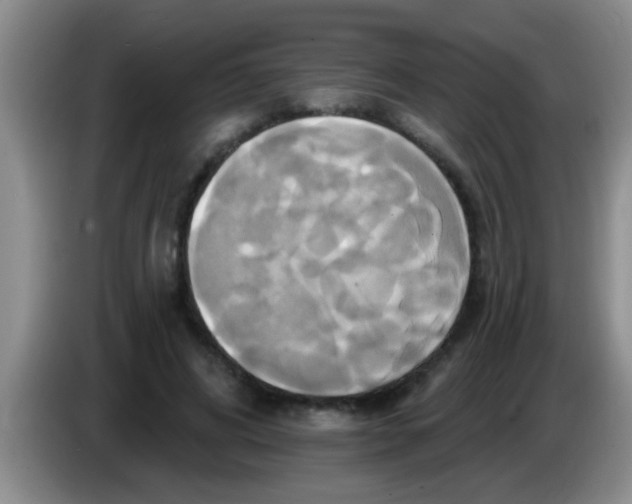 X0000084020592200703091949