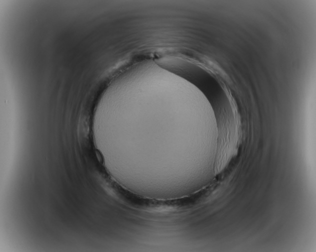 X0000084020593200703091949