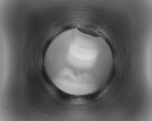 X0000084020594200703091949