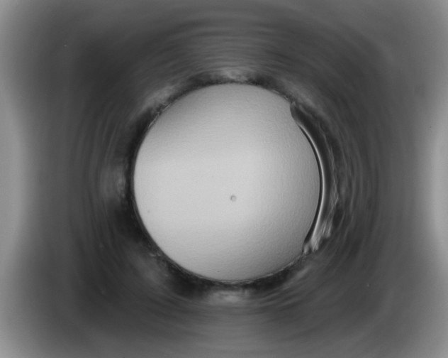 X0000084020595200703091949