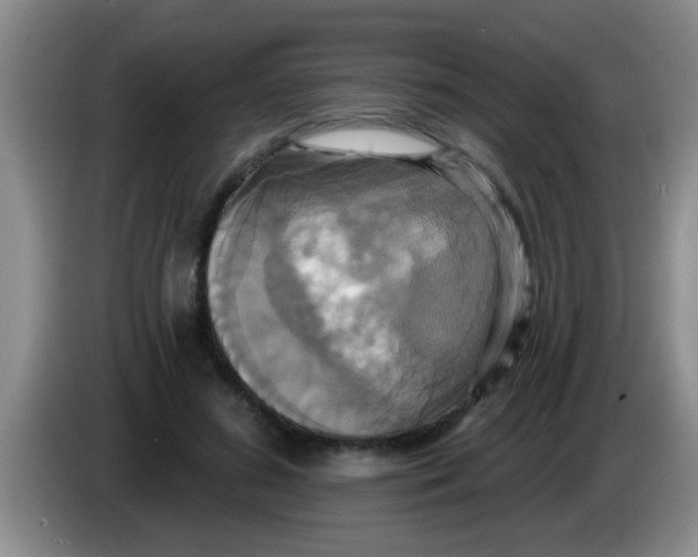 X0000084020596200703091949